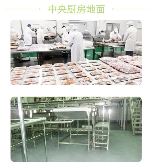 食品車間聚氨酯地坪與新型膜材料 專業施工與銷售綜合解決方案