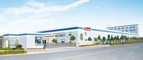 安徽省技術(shù)標(biāo)準(zhǔn)創(chuàng)新基地（新型顯示膜材料）通過驗(yàn)收，新型膜材料制造獲重大突破